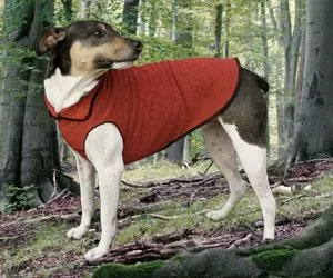 Eco Fleece Pullover Dog Sweater - Ruby Red