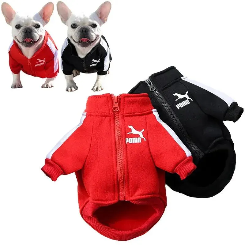 Winter Baseball Dog Jacket Pet Hoodie